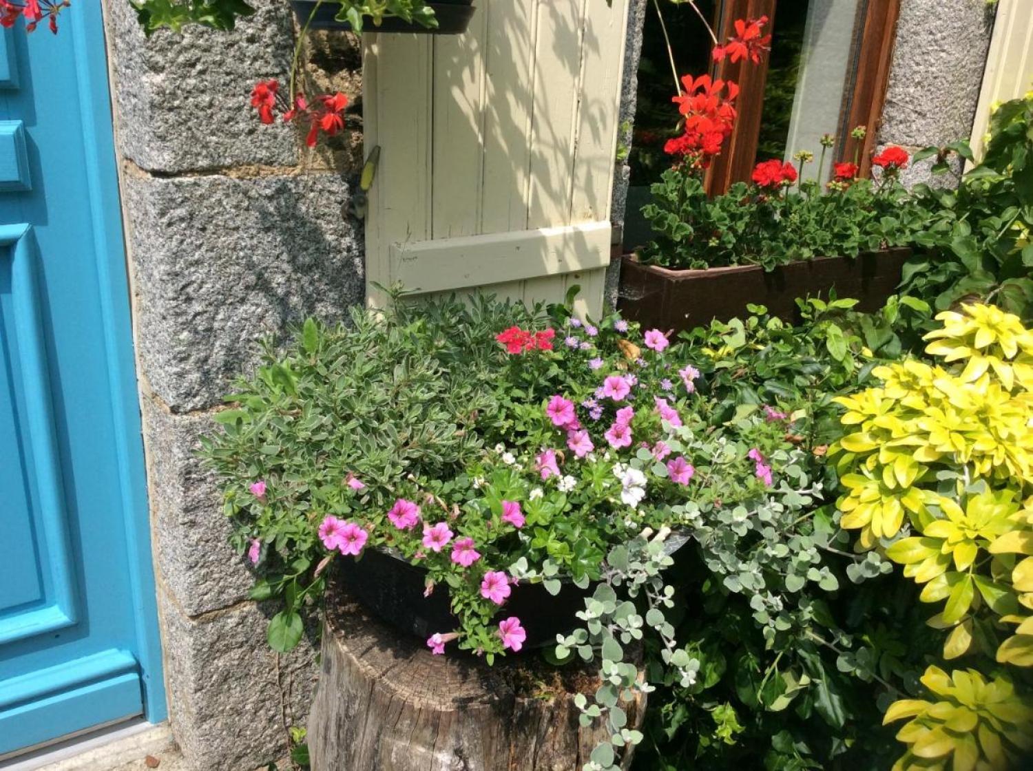  te koop huis met gîte Saint-Hilaire-du-Harcouët Manche 13