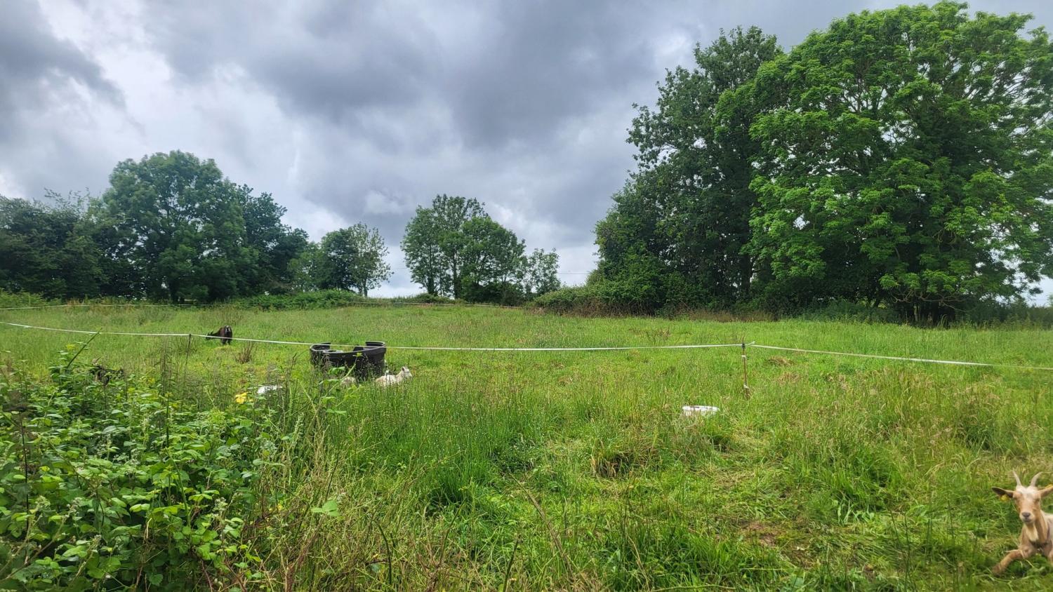  te koop vrijstaand huis Tessy-sur-Vire Manche 25