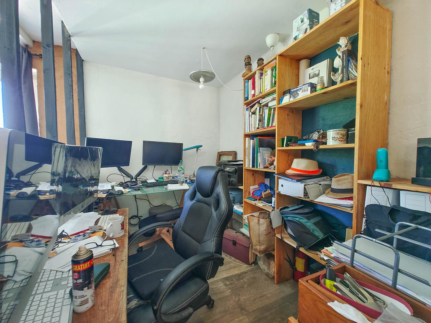  te koop huis met gîte Terrebasse Haute-Garonne 20