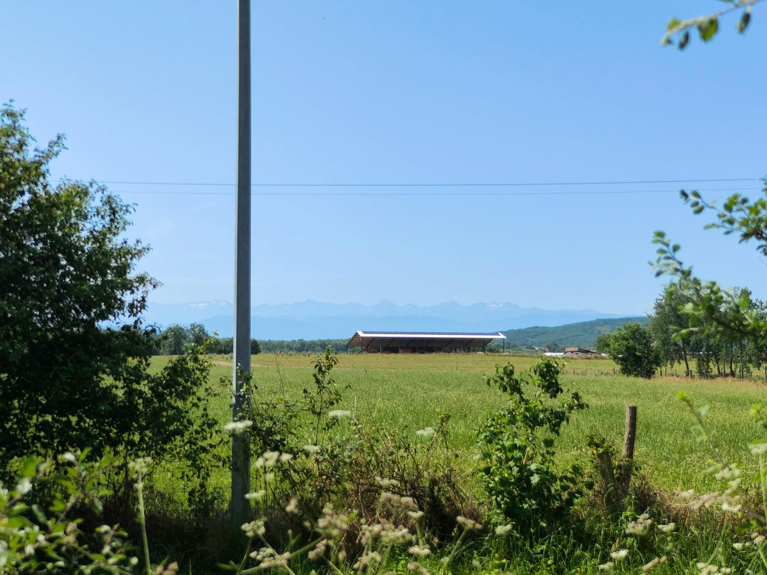  te koop huis met gîte Terrebasse Haute-Garonne 57