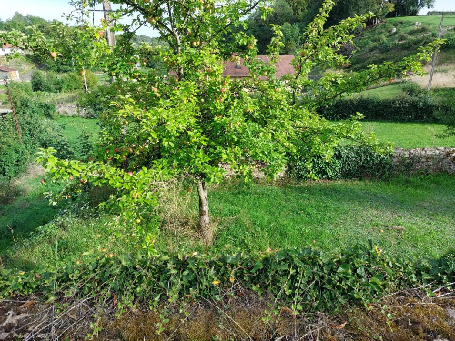  te koop kasteel Blondefontaine Haute-Saône 45