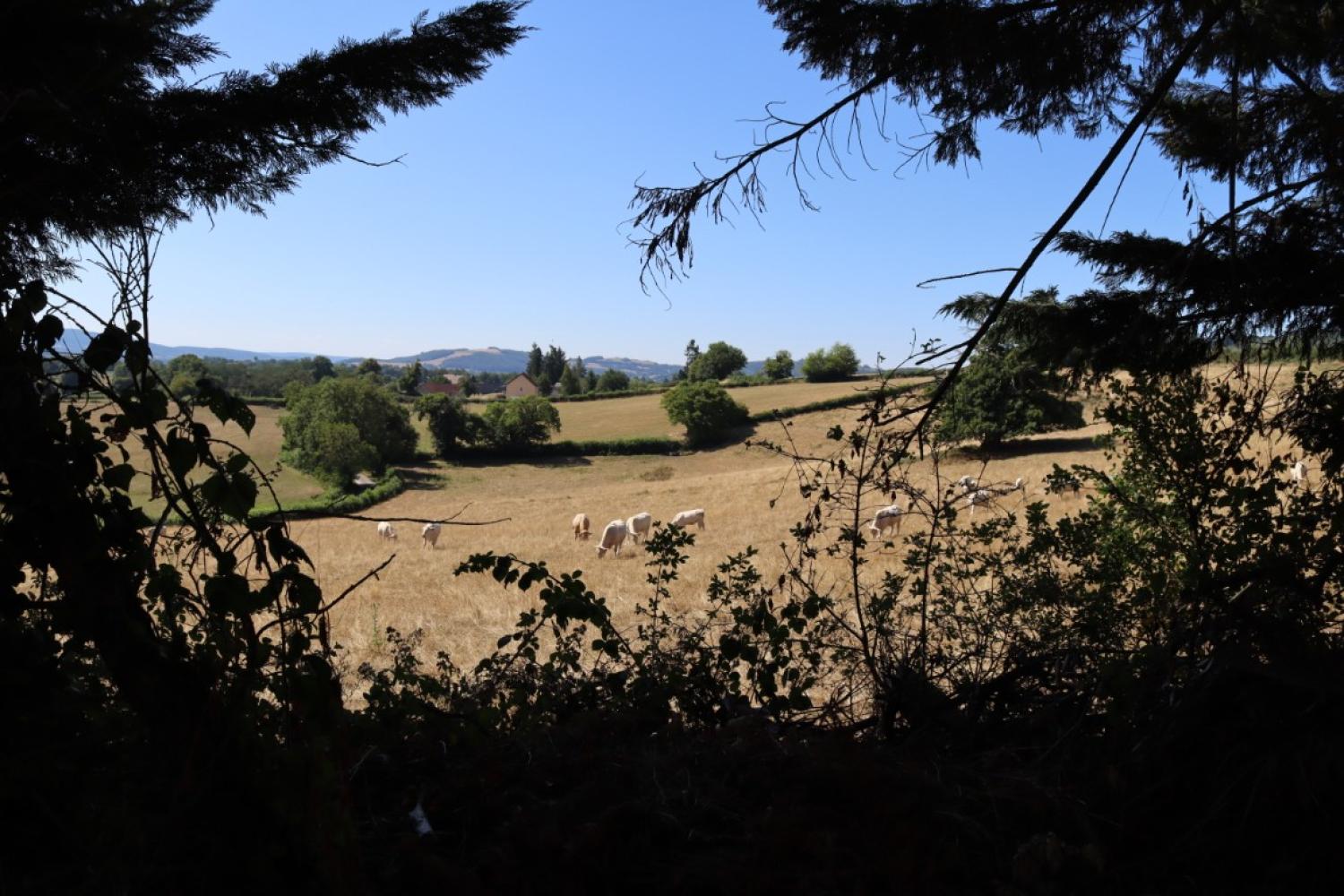  te koop huis Saint-Didier-sur-Arroux Saône-et-Loire 3