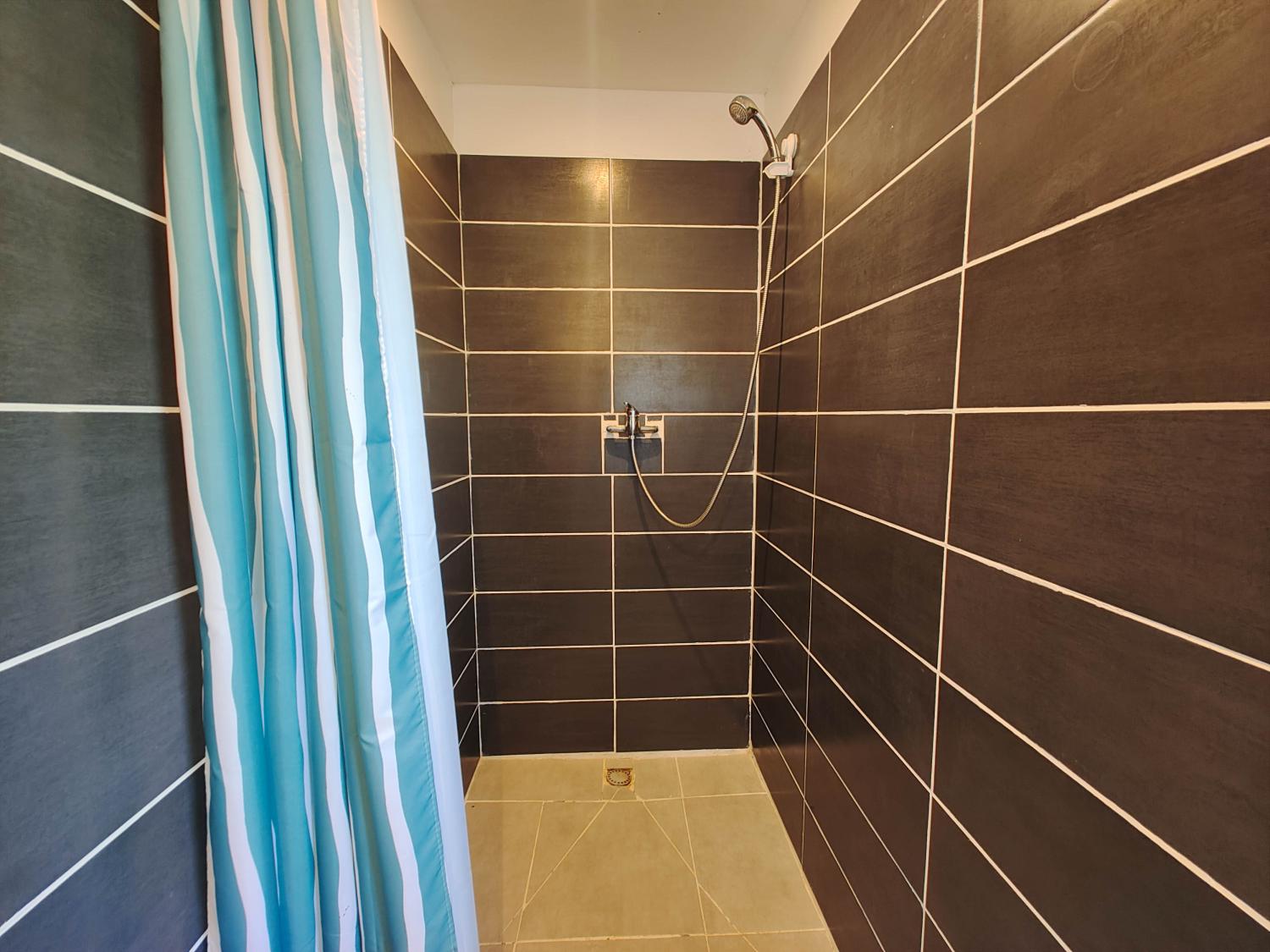  te koop huis met gîte Terrebasse Haute-Garonne 33