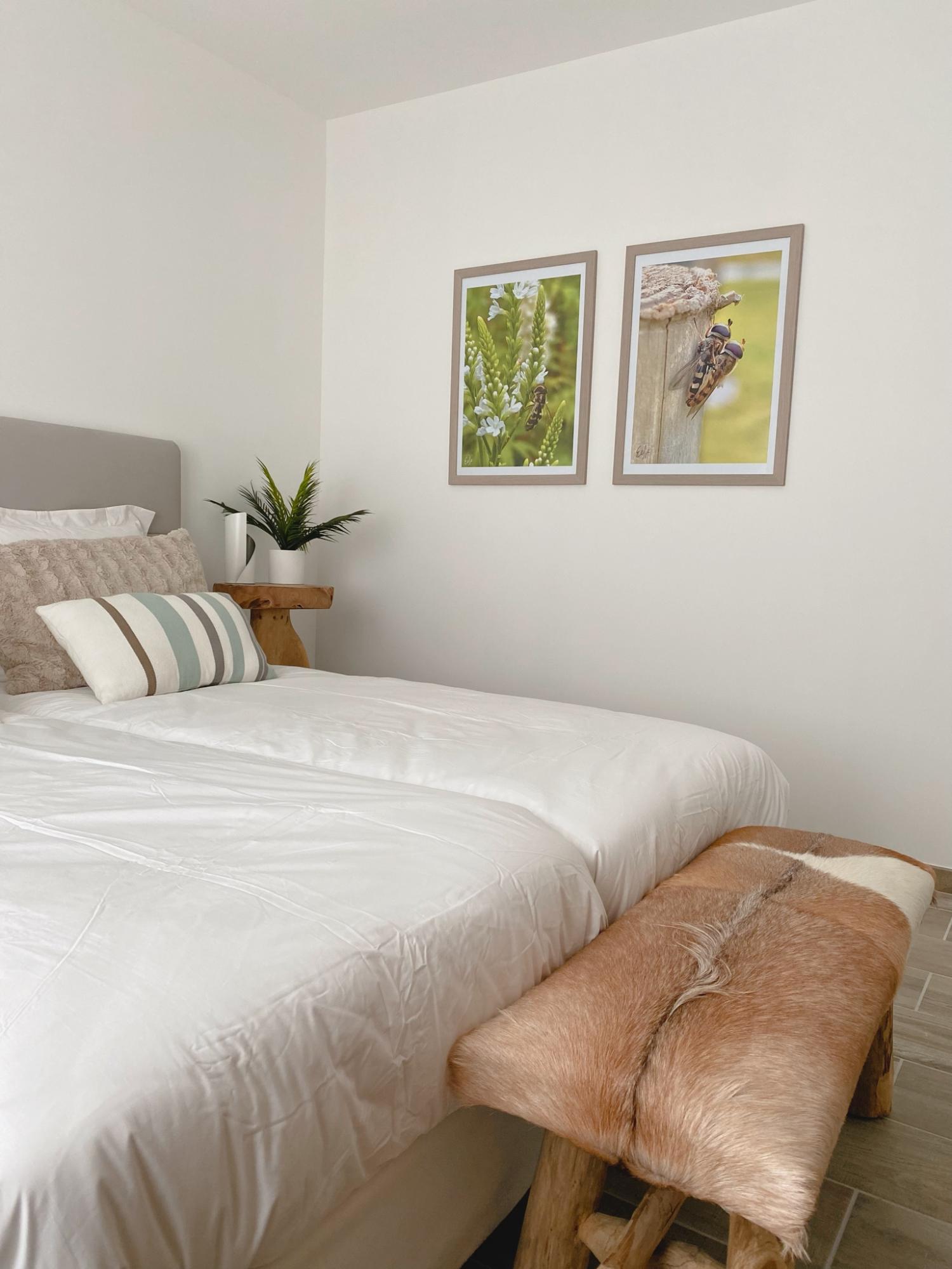  te koop nieuwbouw woning Masseube Gers 23