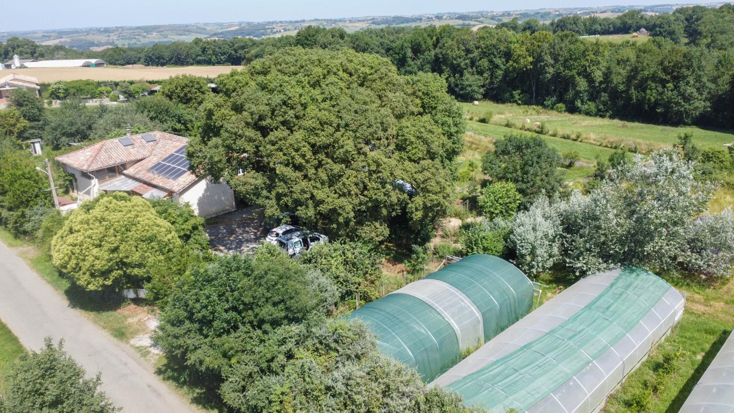  te koop huis met gîte Terrebasse Haute-Garonne 51