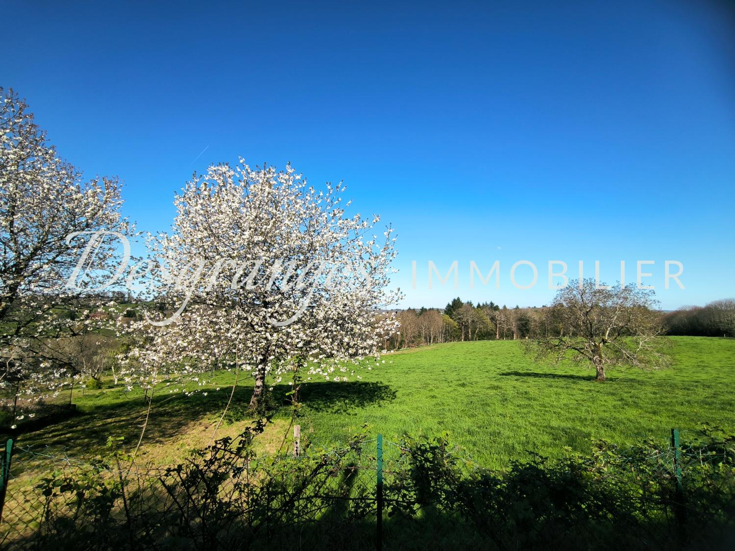  te koop vrijstaand huis Payzac Dordogne 3