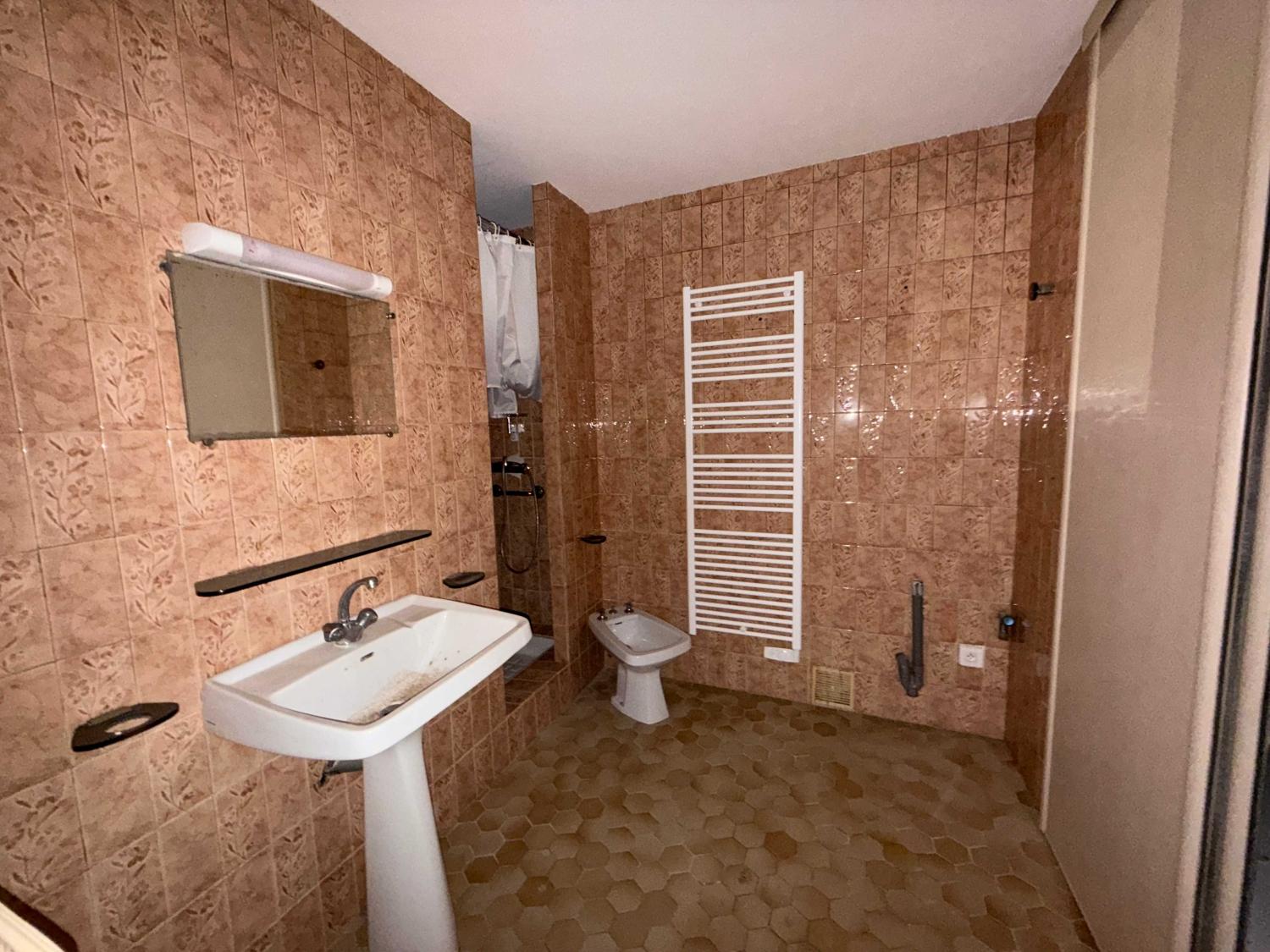  te koop dorpshuis Doulevant-le-Château Haute-Marne 13