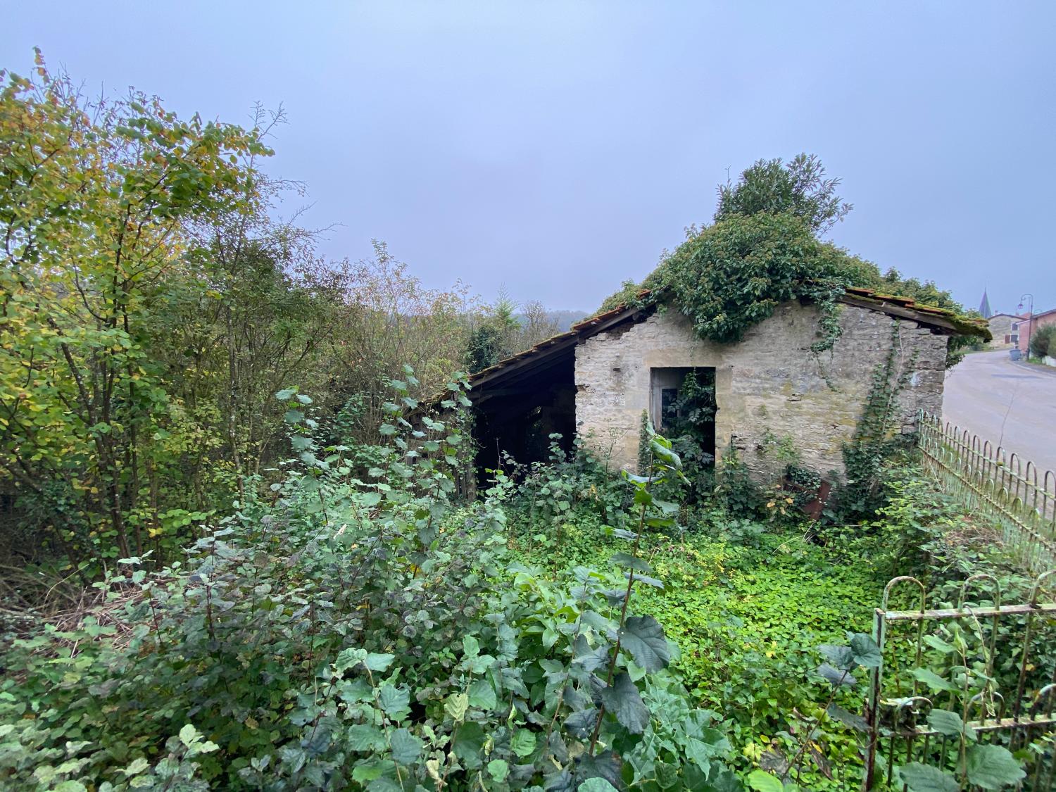  te koop dorpshuis Donjeux Haute-Marne 4