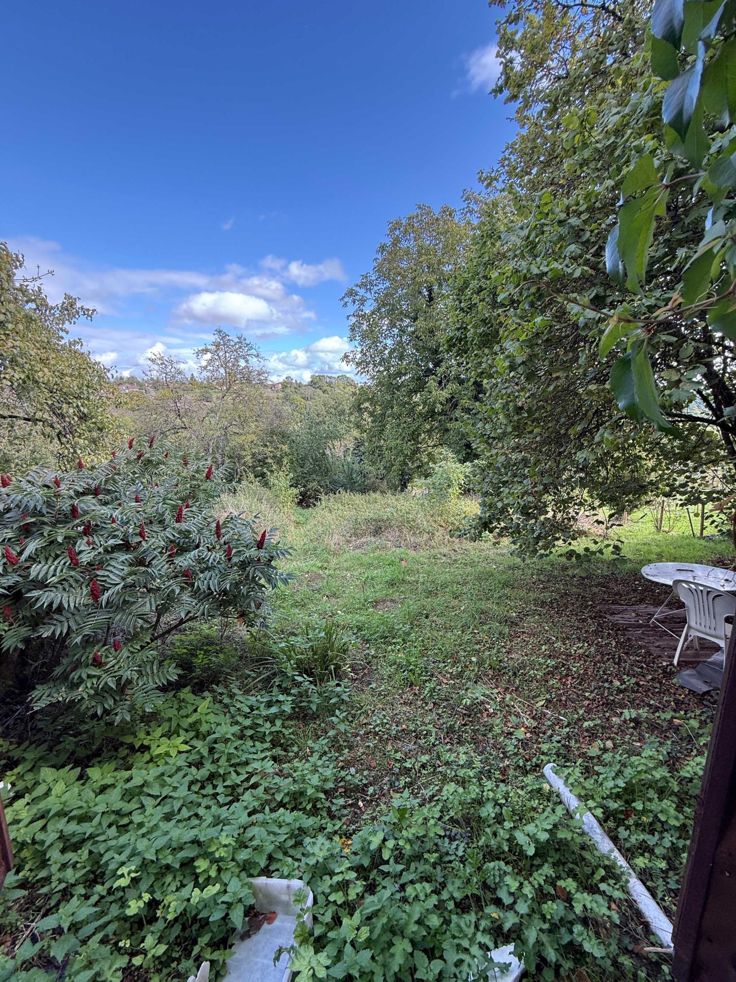  te koop dorpsboerderij Bourbonne-les-Bains Haute-Marne 6