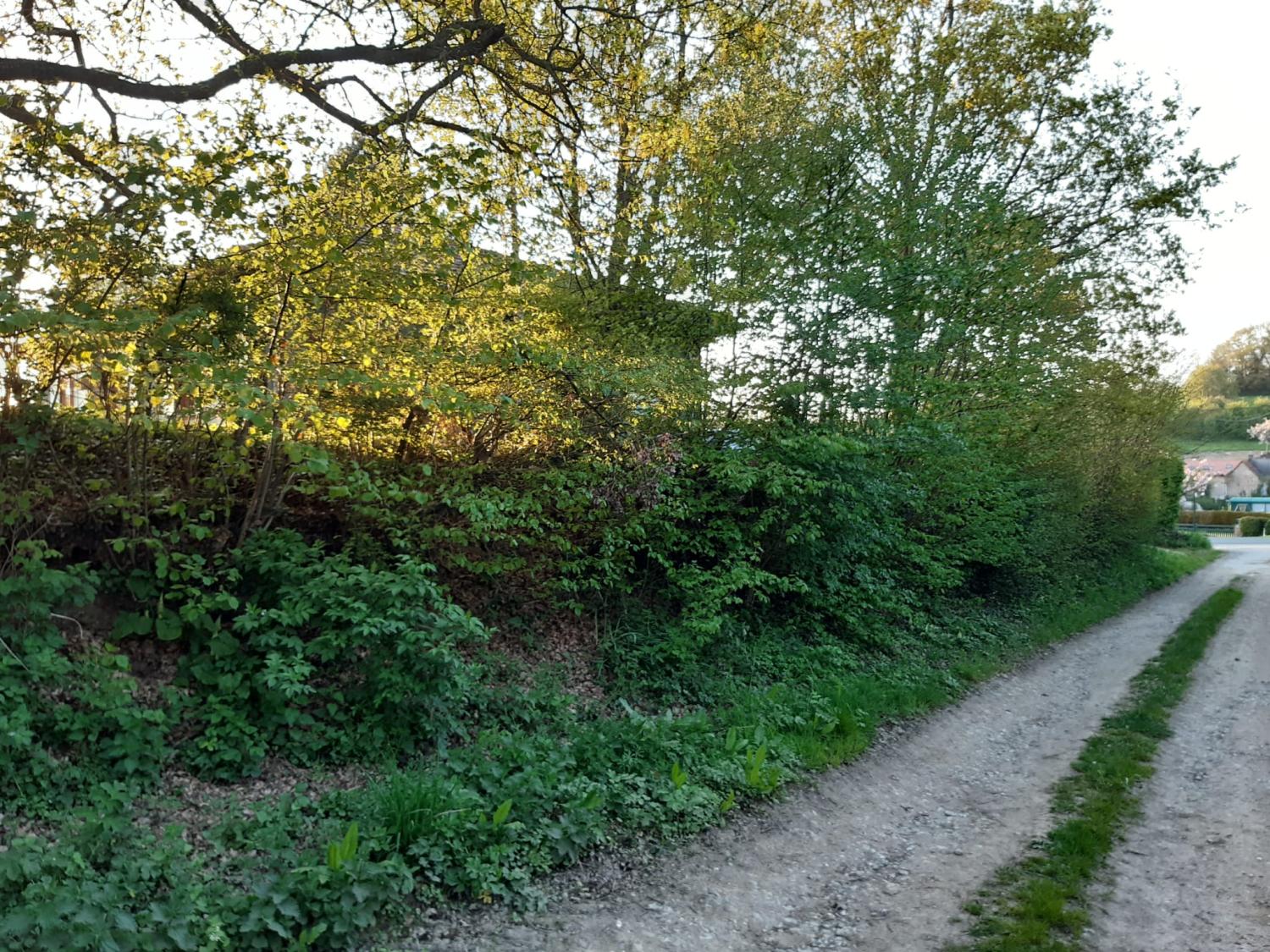  te koop chalet Preures Pas-de-Calais 3