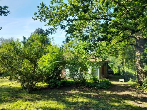  te koop chalet Preures Pas-de-Calais 2