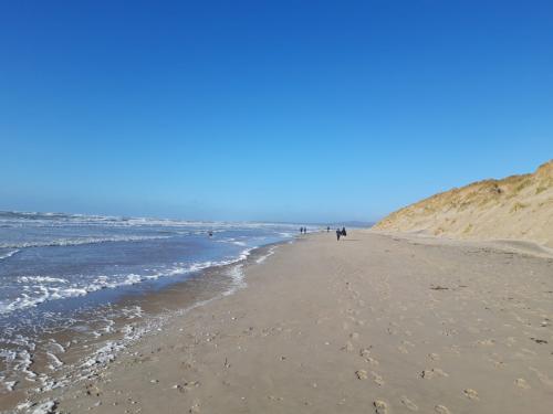  te koop chalet Preures Pas-de-Calais 19