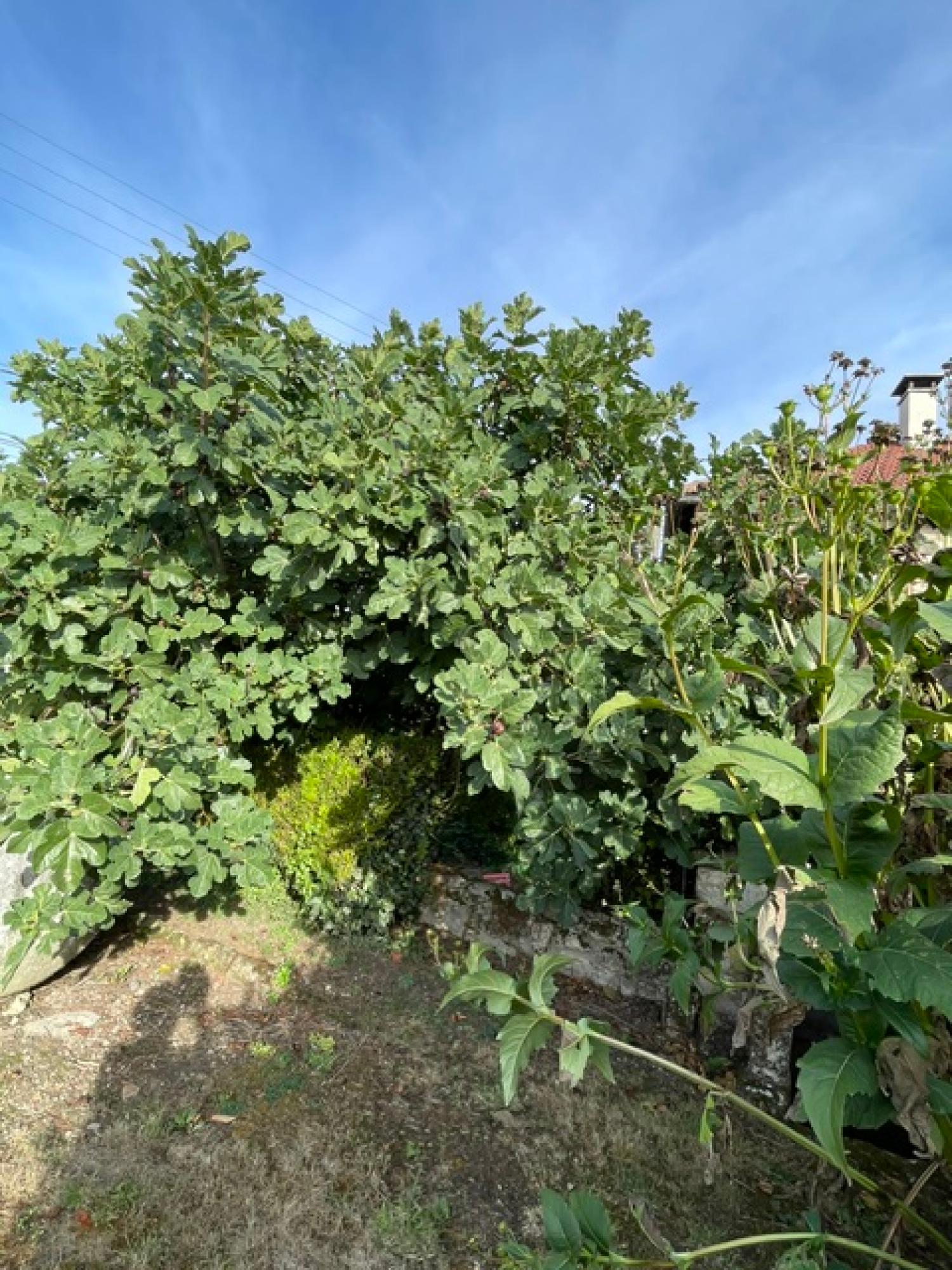te koop huis met gîte Crépy-en-Valois Oise 16