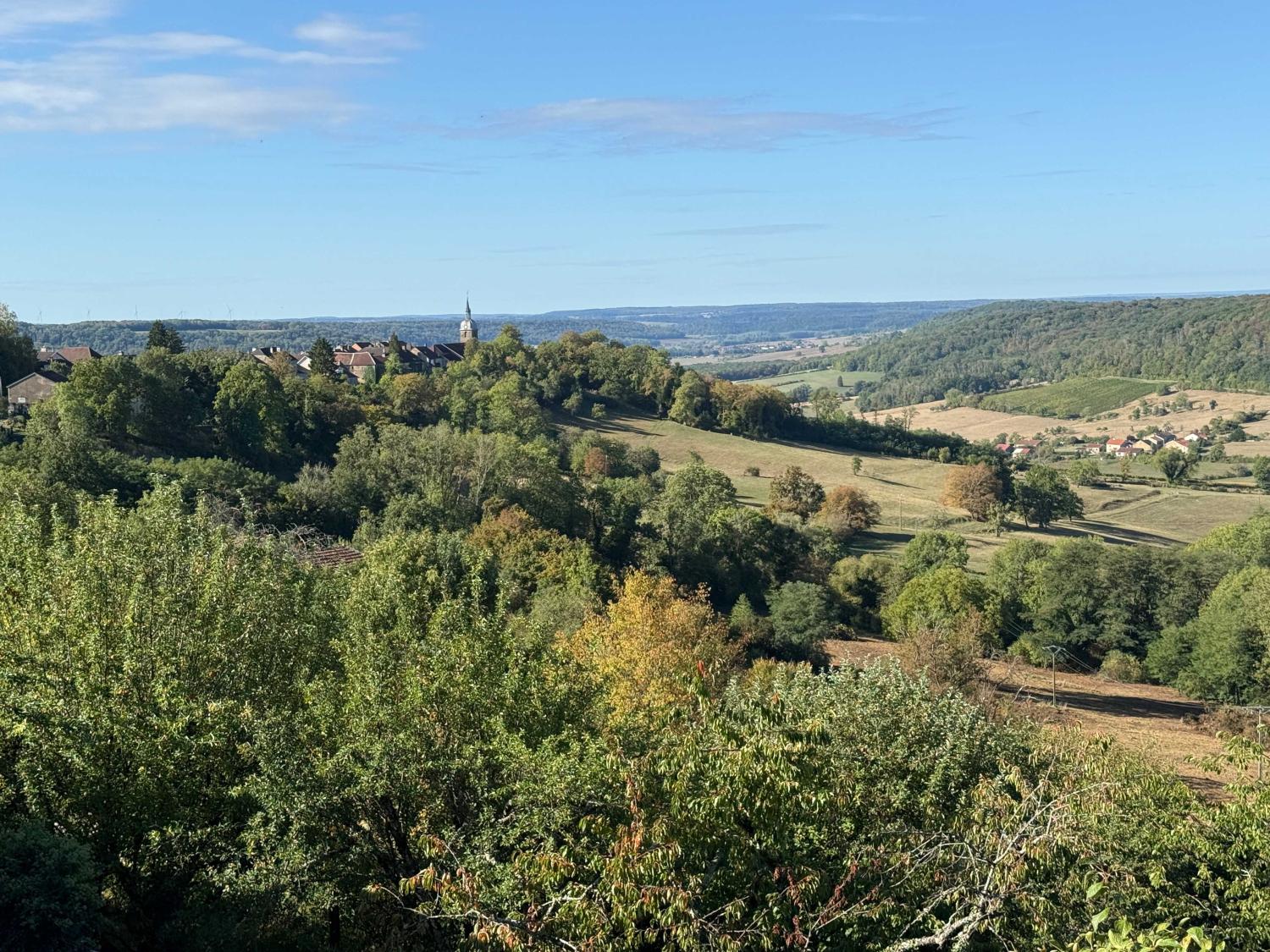 te koop dorpshuis Bourbonne-les-Bains Haute-Marne 19