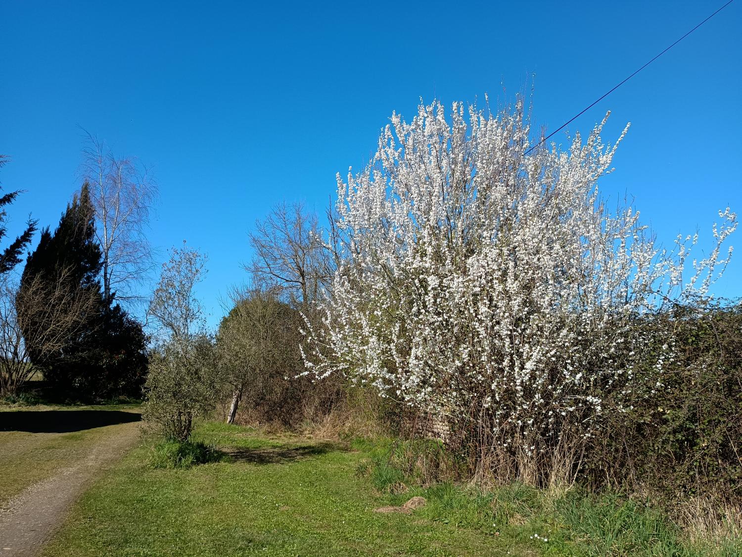 te koop vrijstaand huis Aire-sur-l'Adour Landes 37