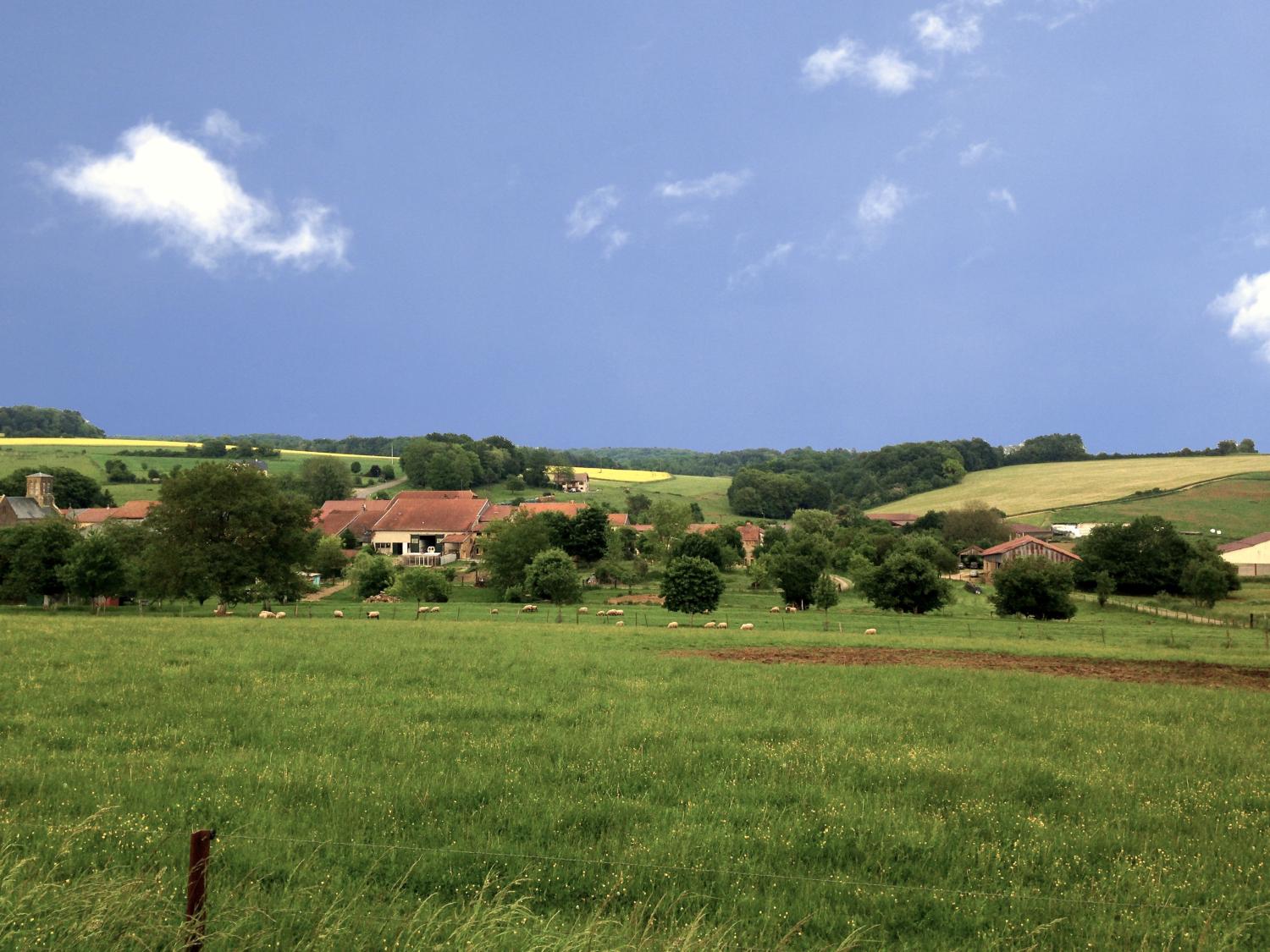  te koop gîtes/ chambres d'hôtes Autréville-Saint-Lambert Meuse 42