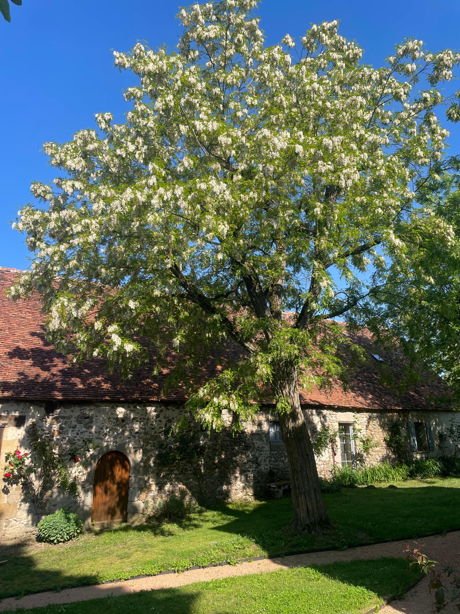  te koop camping Lussat Creuse 29