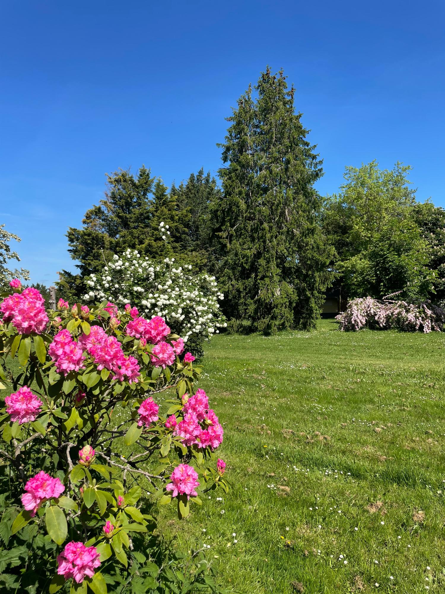  te koop camping Lussat Creuse 41