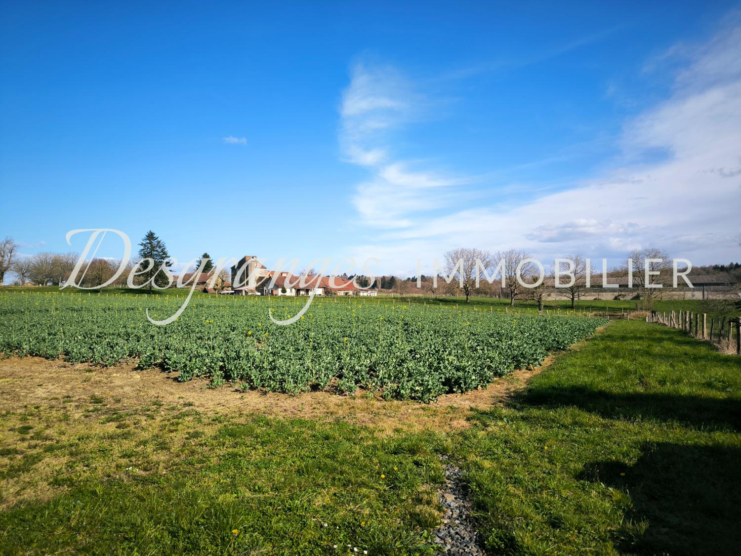  te koop boerderij Payzac Dordogne 4