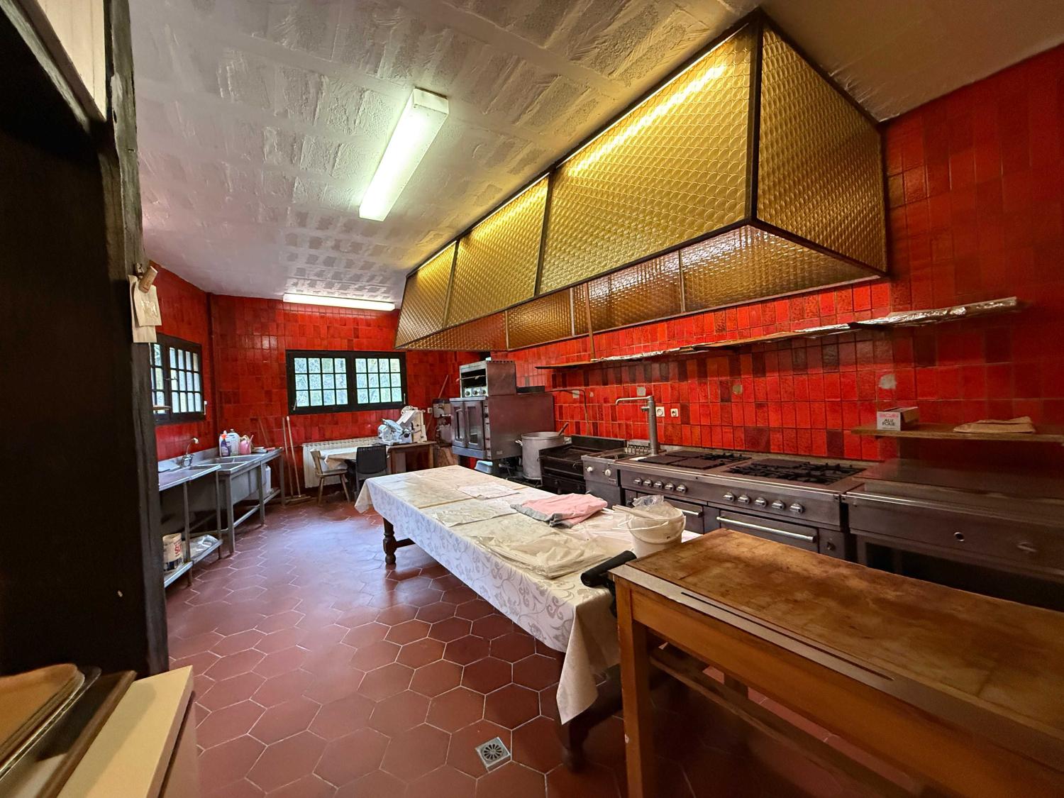  te koop gîtes/ chambres d'hôtes Viviers-le-Gras Vogezen 23