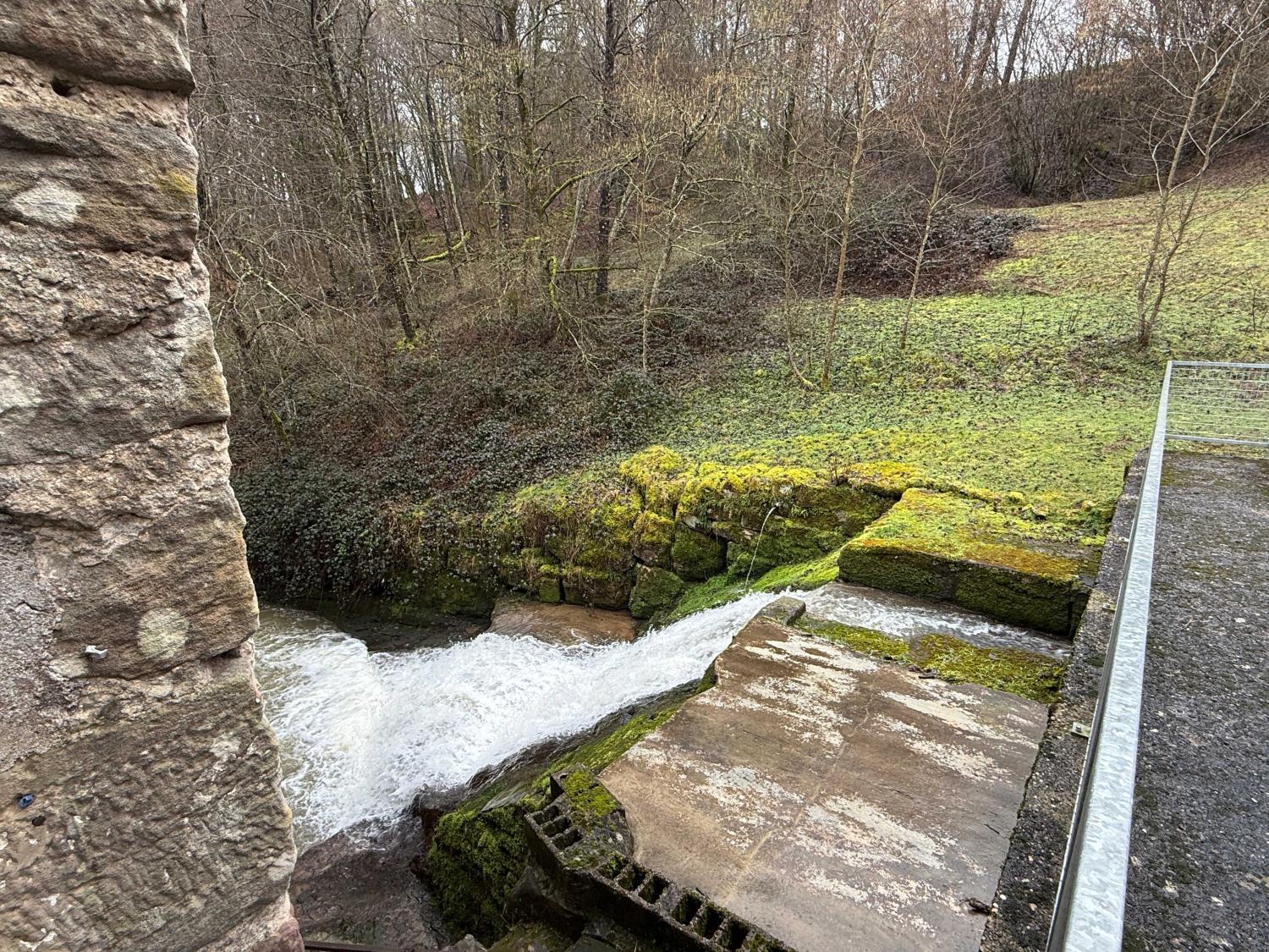  te koop gîtes/ chambres d'hôtes Viviers-le-Gras Vogezen 15