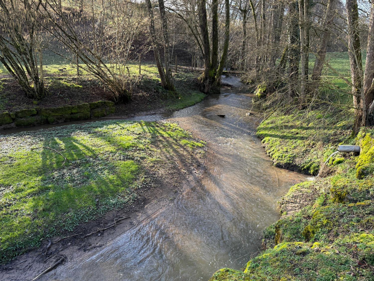 te koop gîtes/ chambres d'hôtes Viviers-le-Gras Vogezen 47