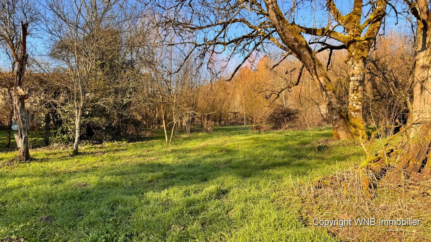  te koop dorpsboerderij Serécourt Vogezen 11