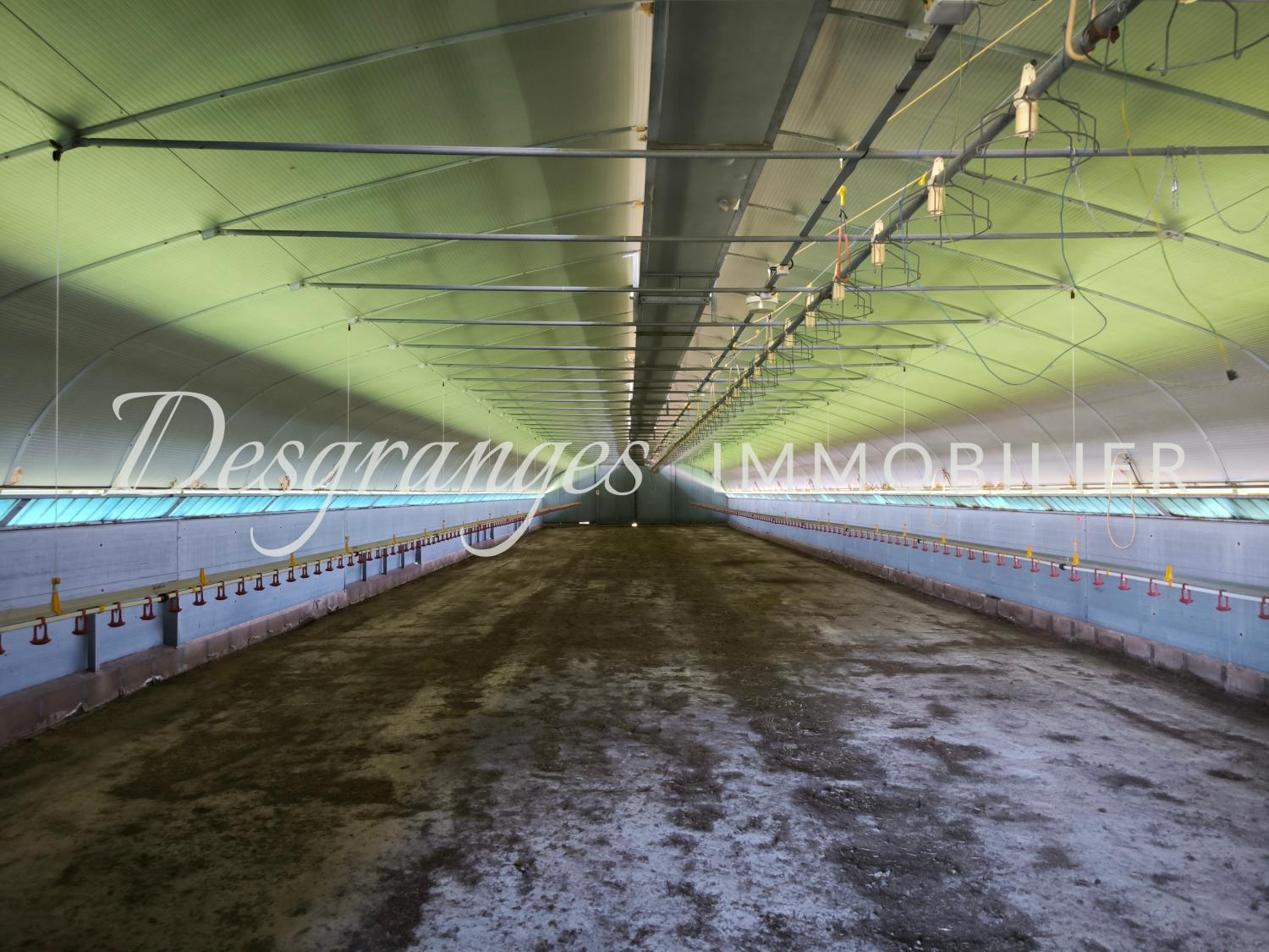  te koop boerderij Payzac Dordogne 20