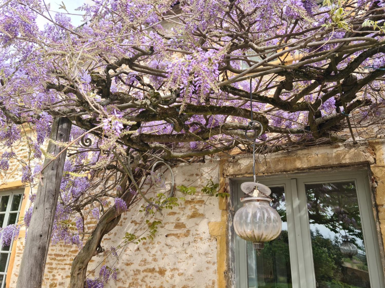  te koop huis Pommiers Rhône 7