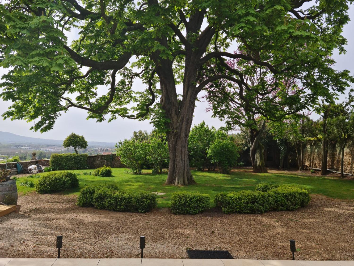  te koop huis Pommiers Rhône 6