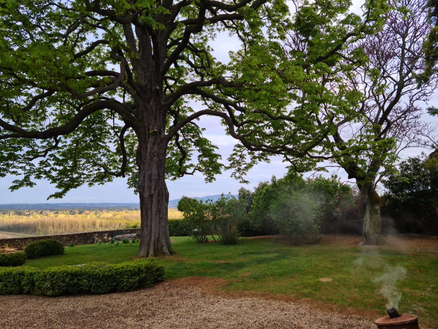  te koop huis Pommiers Rhône 24