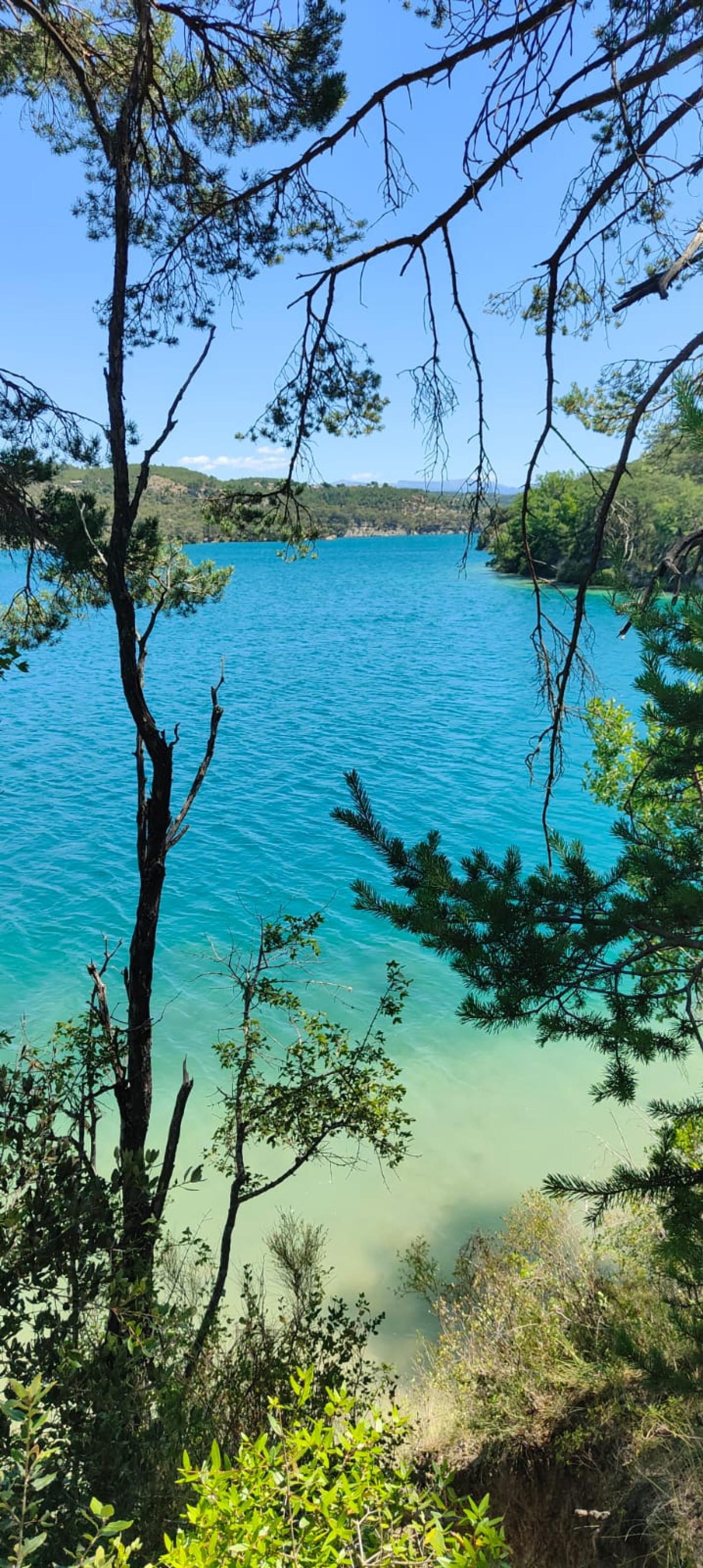  te koop landgoed Ginasservis Var 95