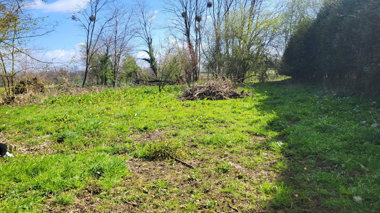  te koop vrijstaand huis Maupertuis Manche 4