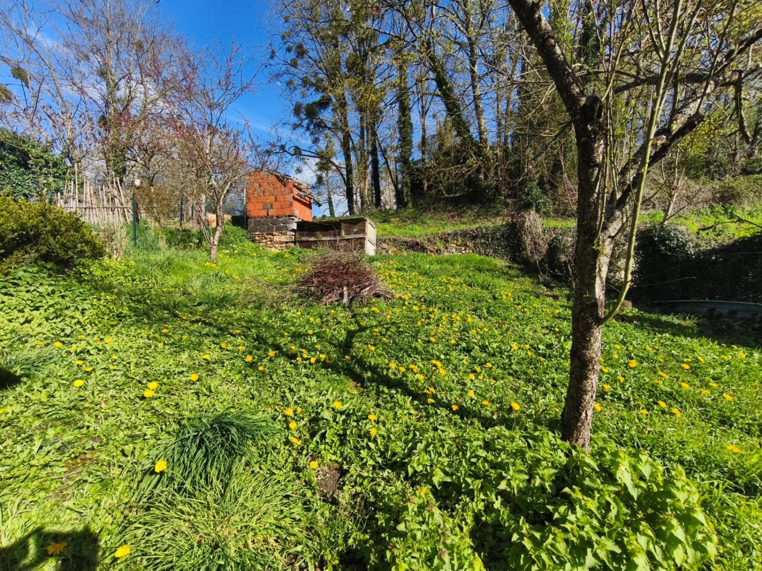 te koop dorpshuis Moulins-Engilbert Nièvre 10
