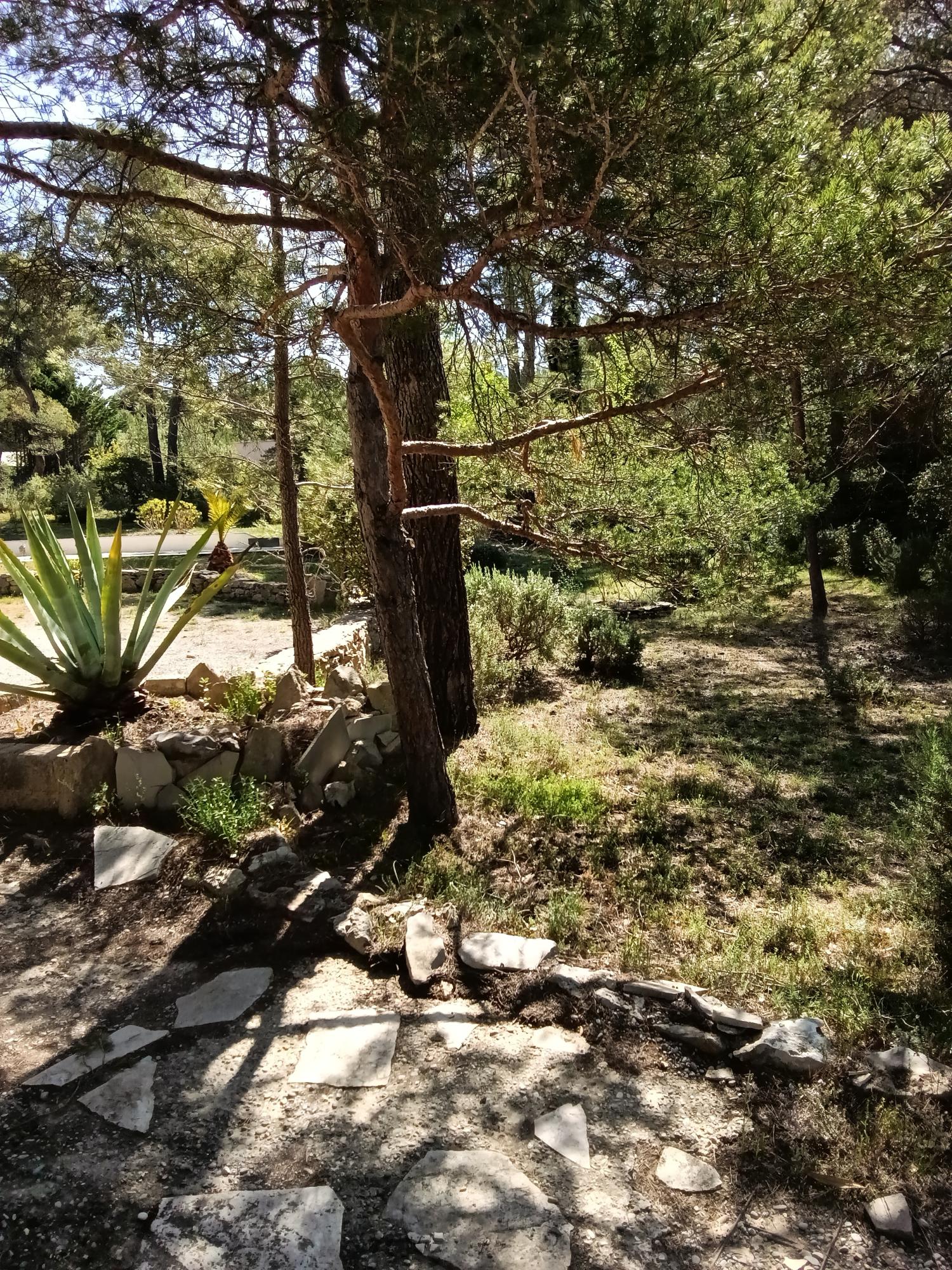  te koop landgoed Ginasservis Var 28