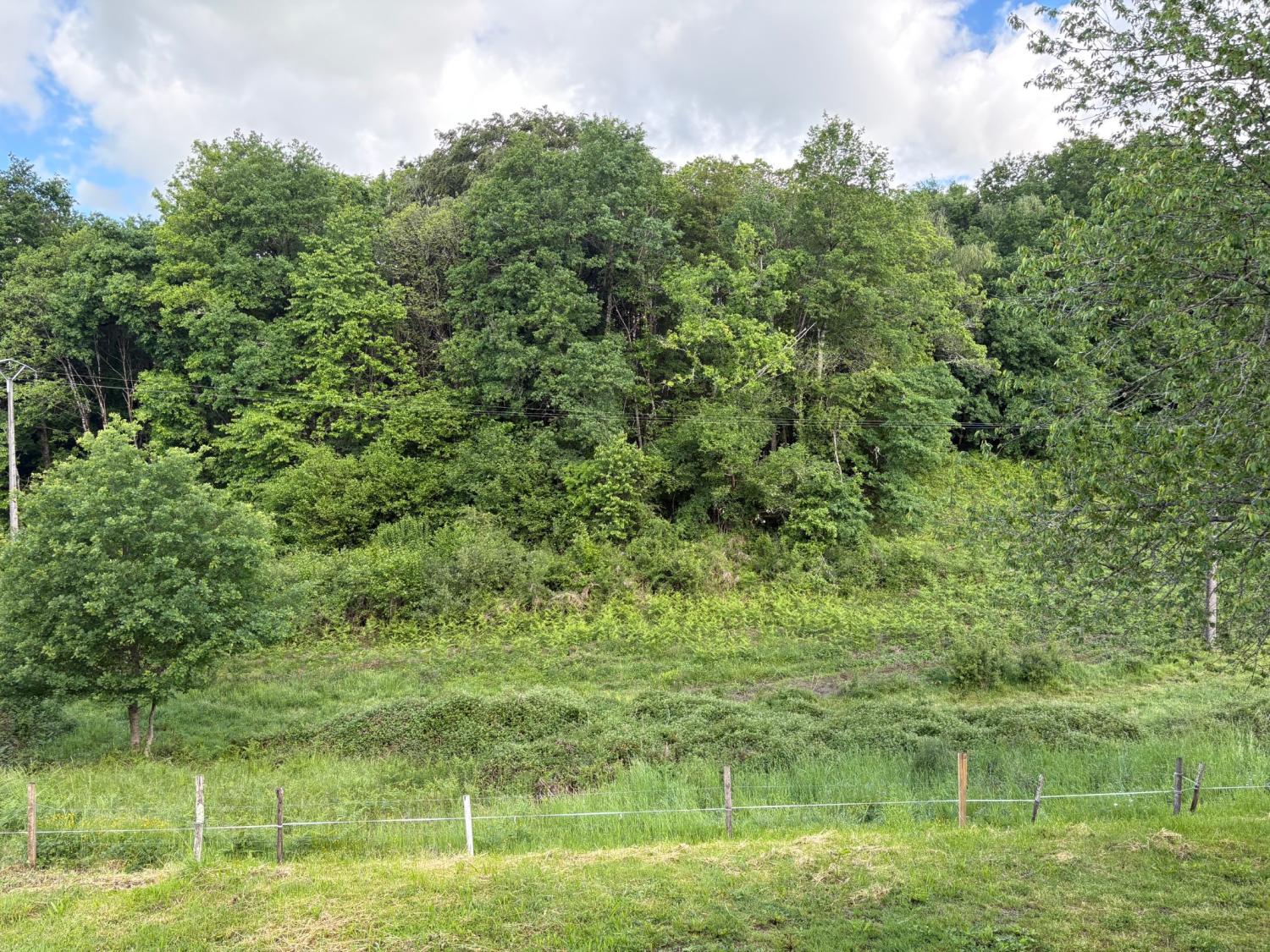 te koop boerderij Coussac-Bonneval Haute-Vienne 5
