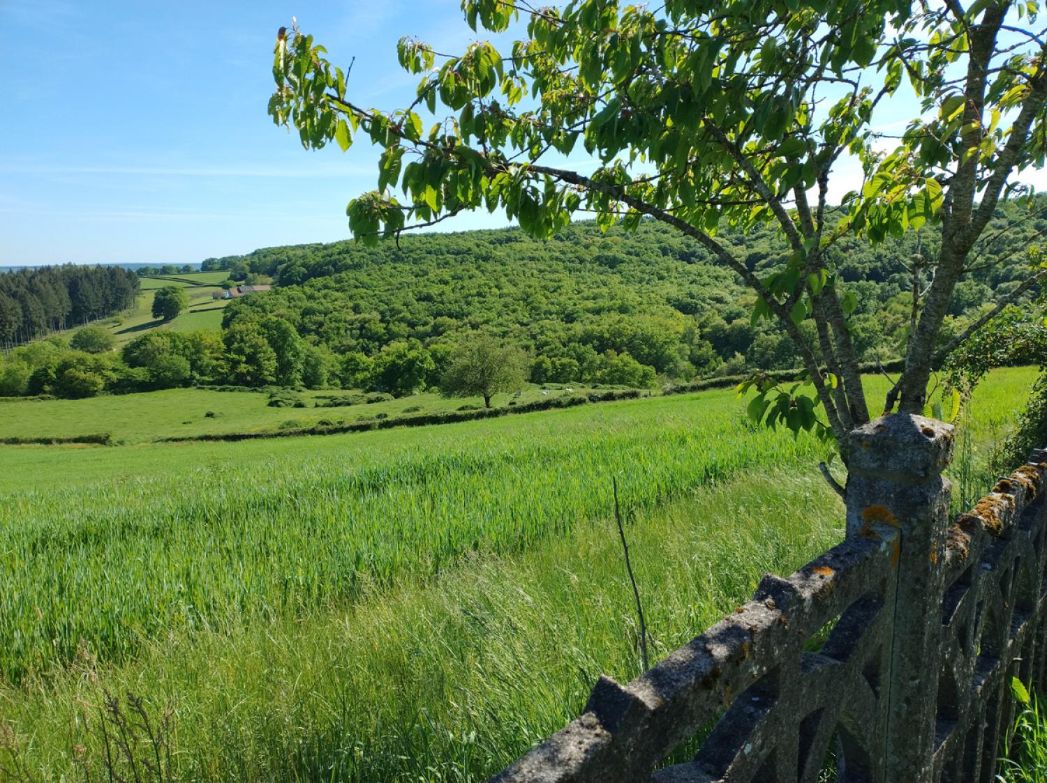 te koop boerderij Uxeau Saône-et-Loire 9