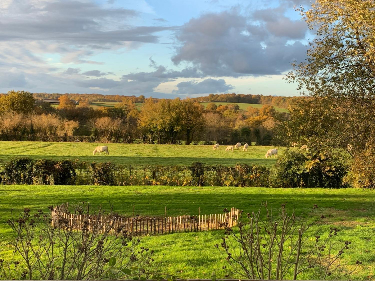 te koop vrijstaand huis Cronat Saône-et-Loire 29
