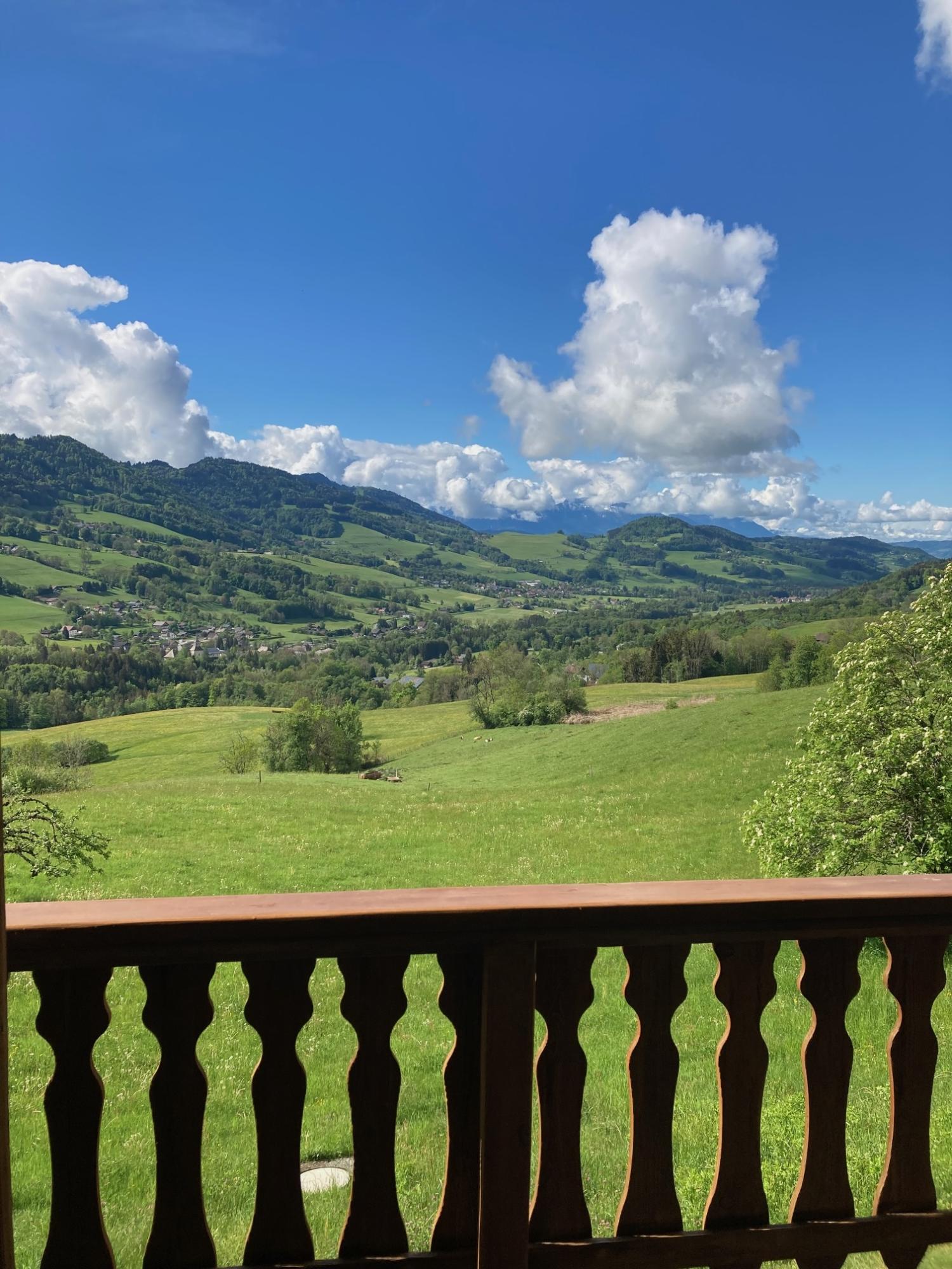  te koop boerderij Habère-Poche Haute-Savoie 3