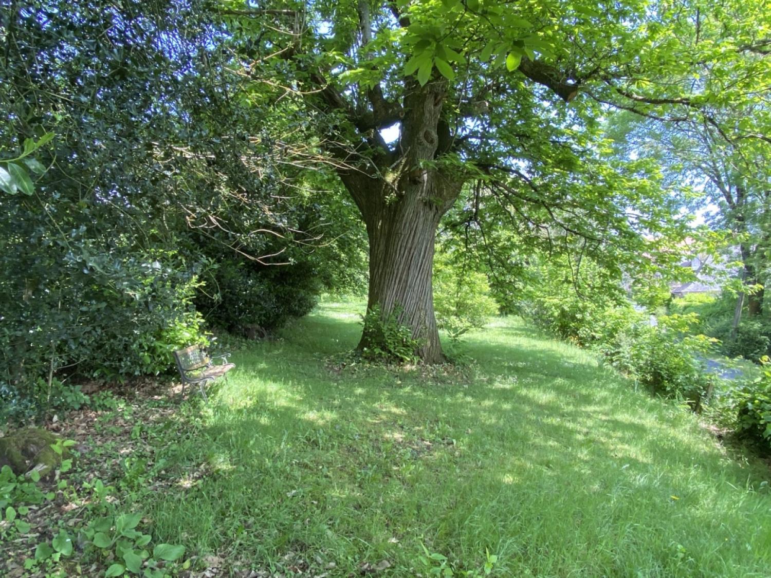 te koop vrijstaand huis Juillac Corrèze 19