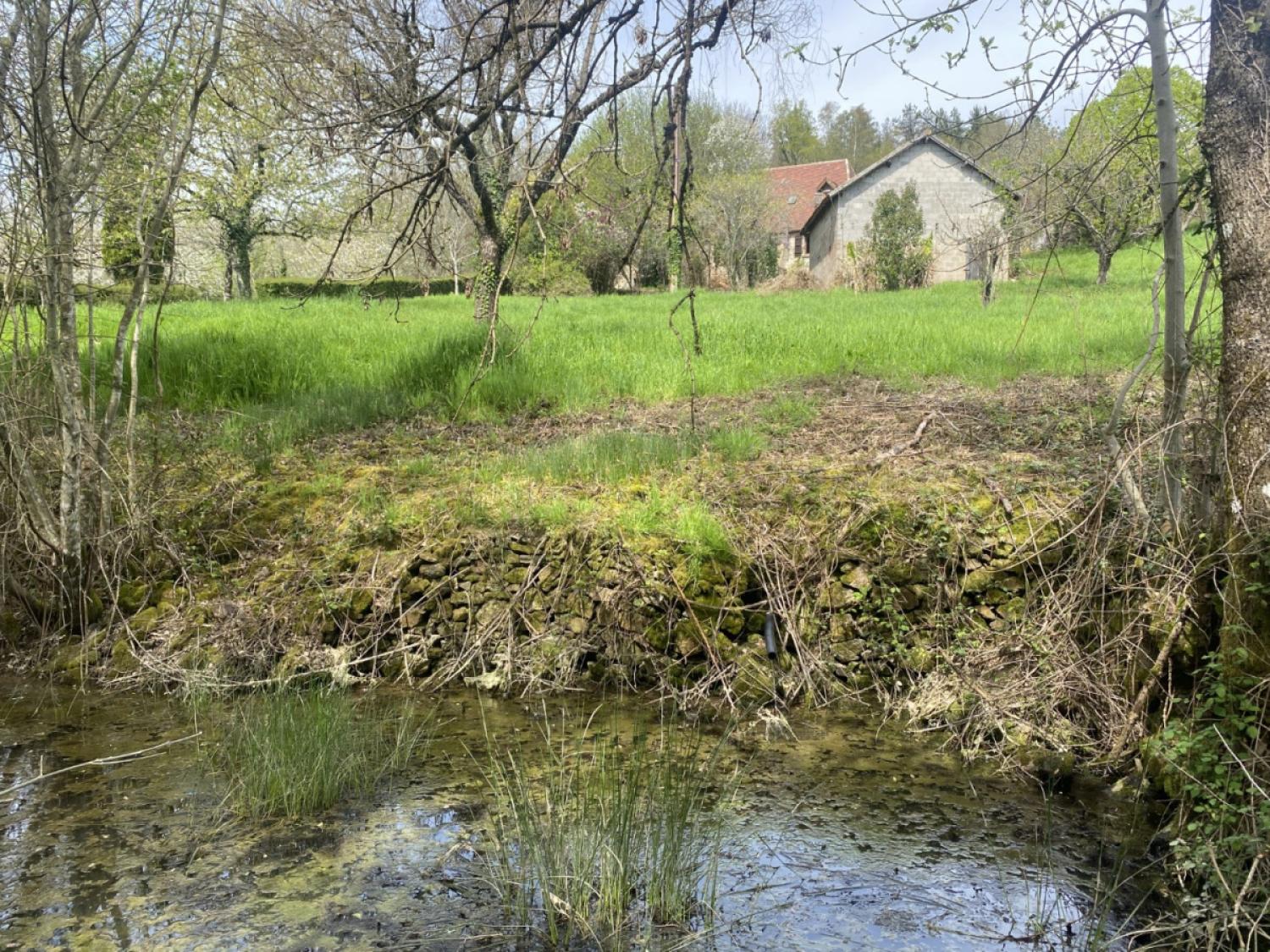  te koop boerderij Juillac Corrèze 17