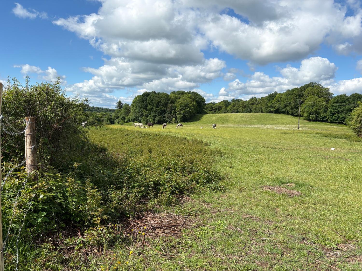 te koop boerderij Coussac-Bonneval Haute-Vienne 4