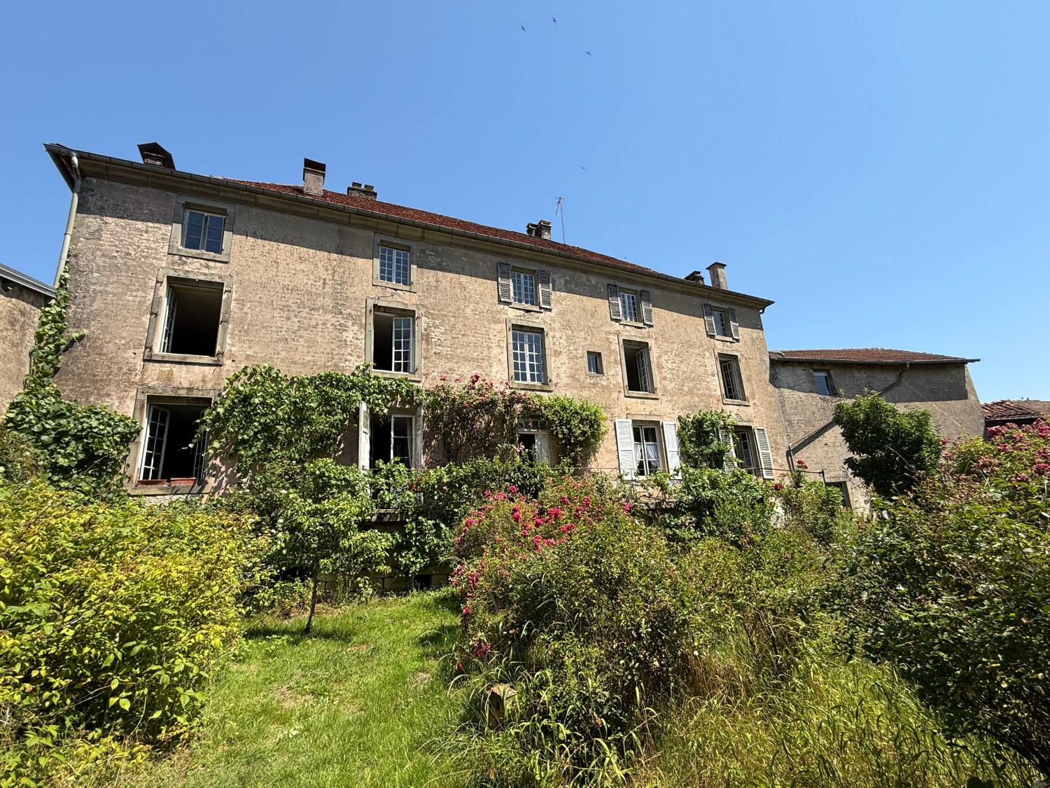 te koop herenhuis Châtillon-sur-Saône Vogezen 45