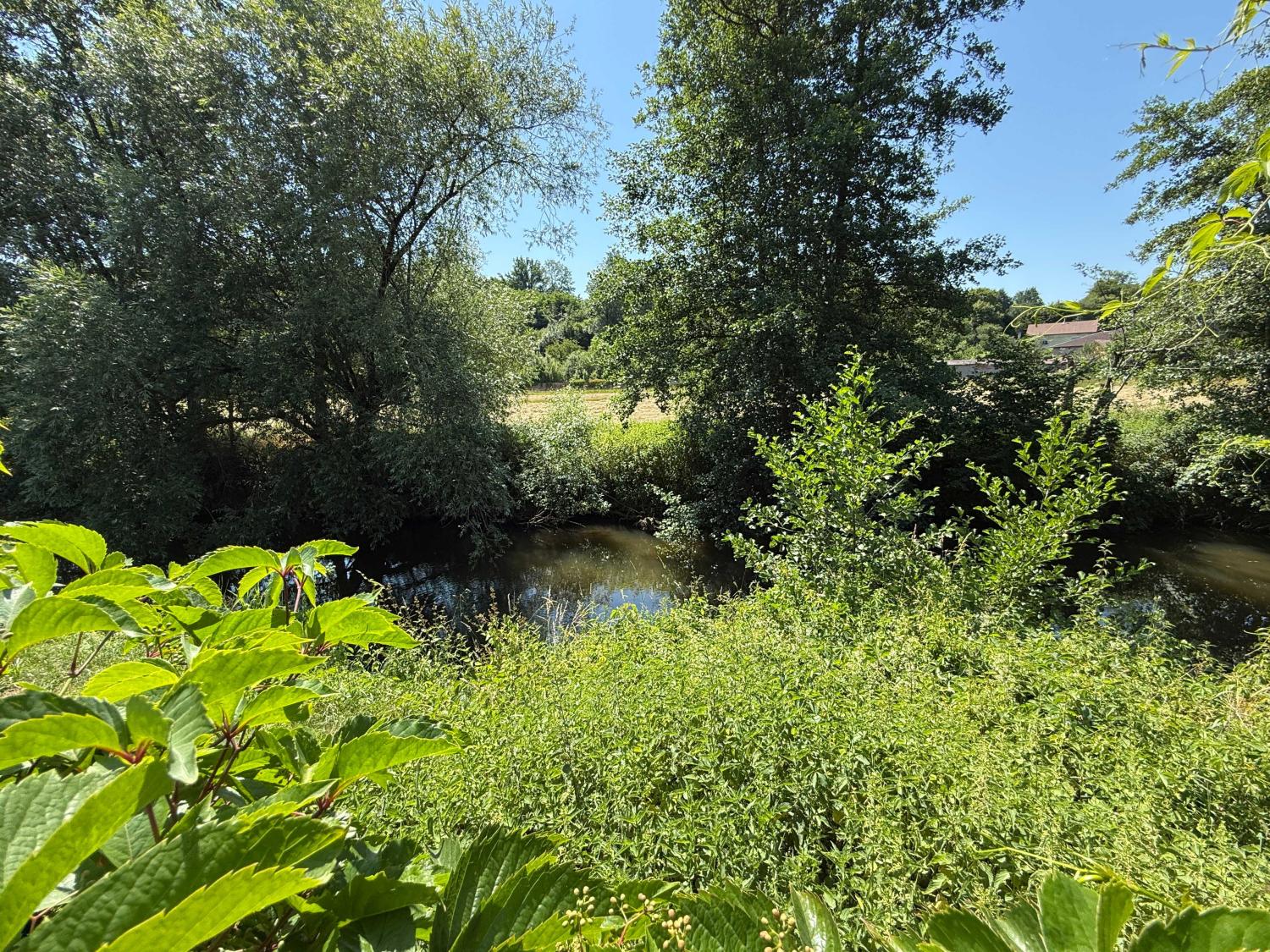 te koop herenhuis Châtillon-sur-Saône Vogezen 36