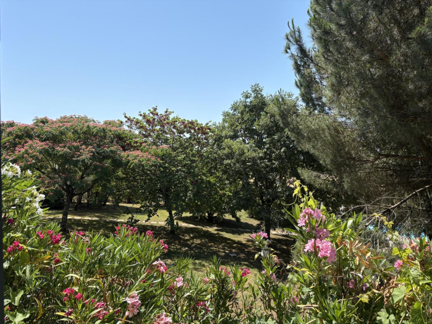  te koop huis met gîte Génis Dordogne 24
