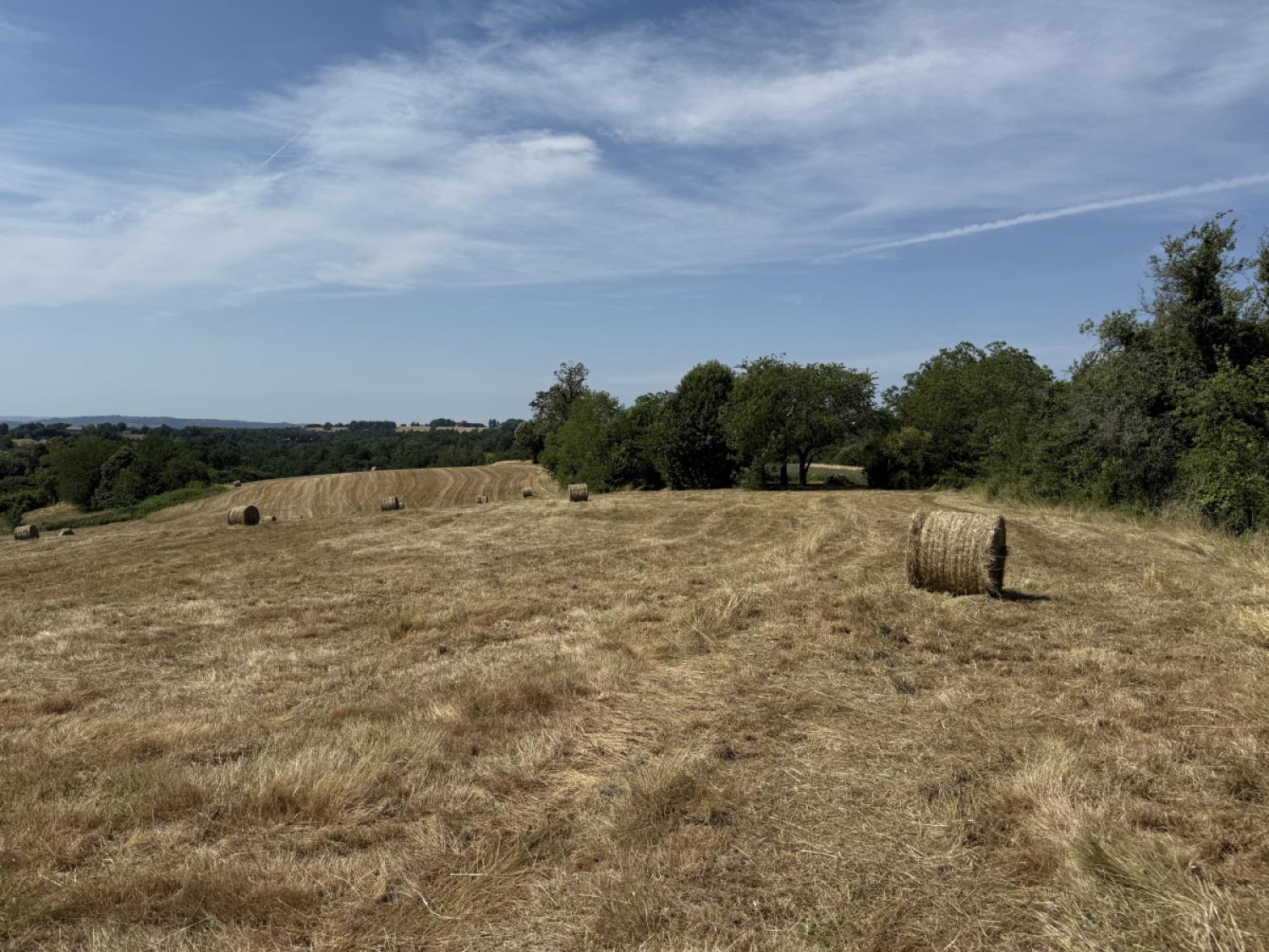te koop boerderij Concèze Corrèze 25