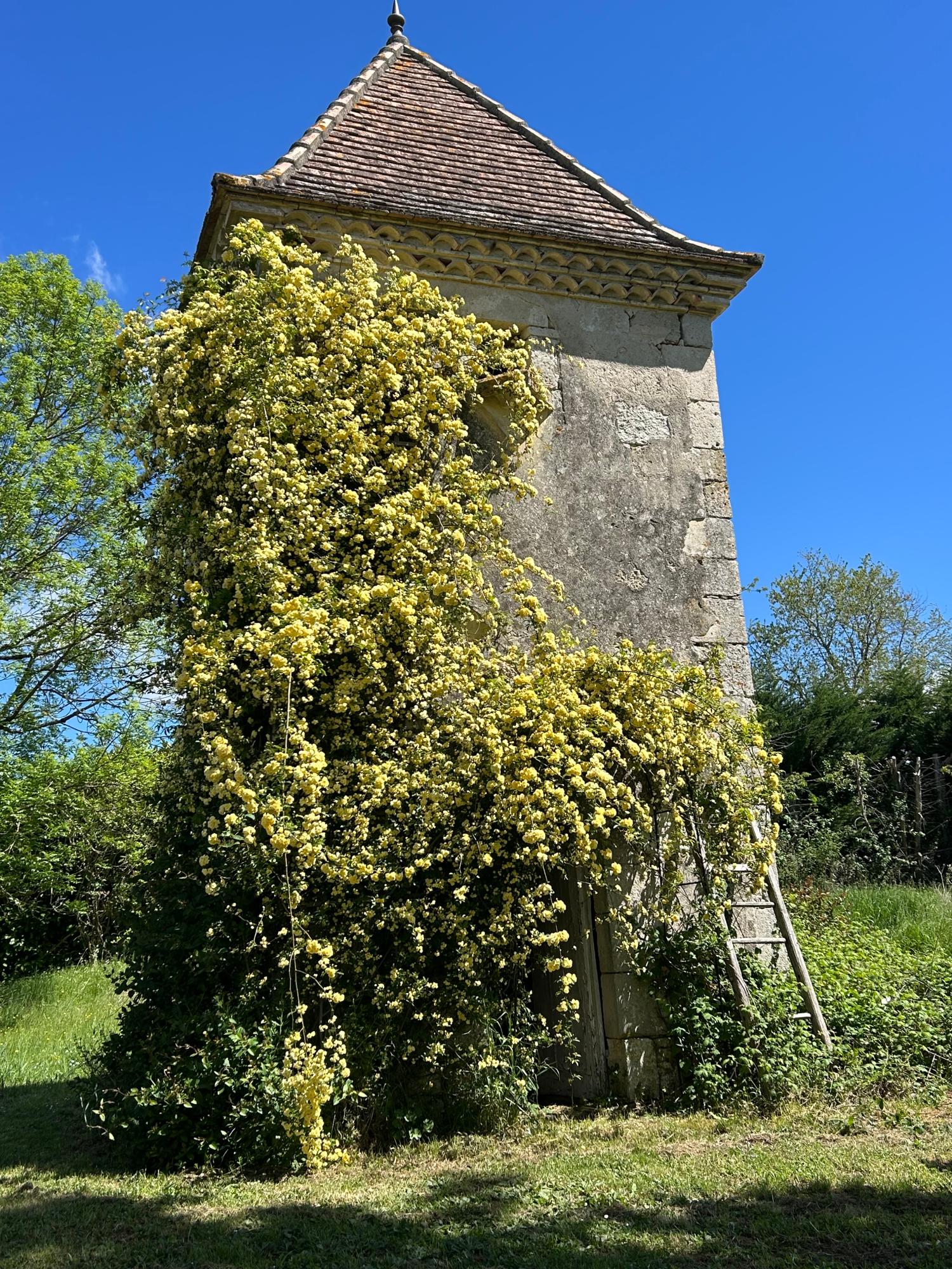 te koop vrijstaand huis Grayssas Lot-et-Garonne 30