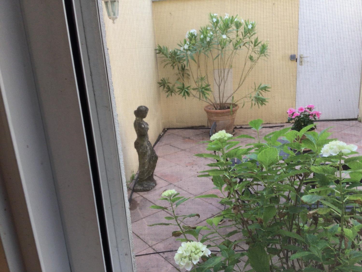 te koop villa Mougins Alpes-Maritimes 13