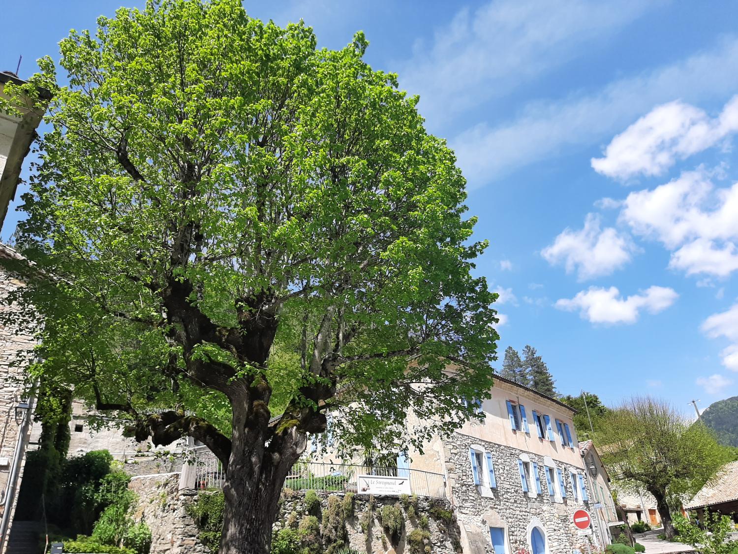  te koop vrijstaand huis Châtillon-en-Diois Drôme 44