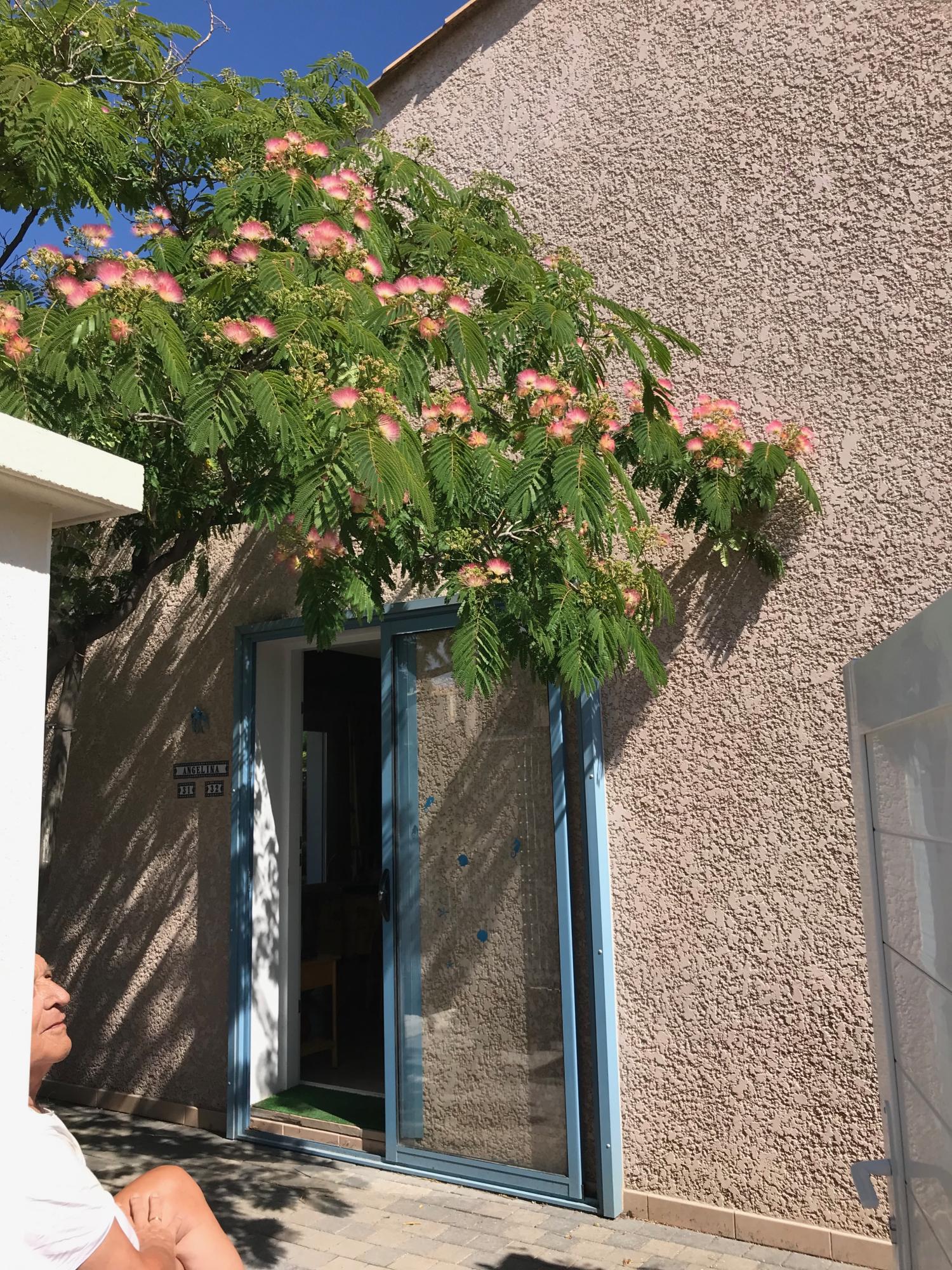 te koop villa Agde Hérault 14